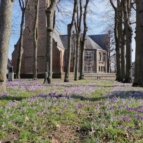 Bewakingscamera in Huizen