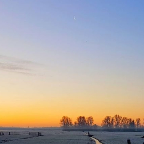 Bewakingscamera in Nederhorst den berg