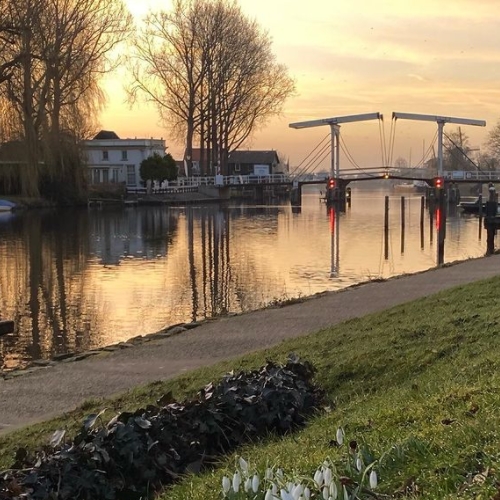 Bewakingscamera in Weesp