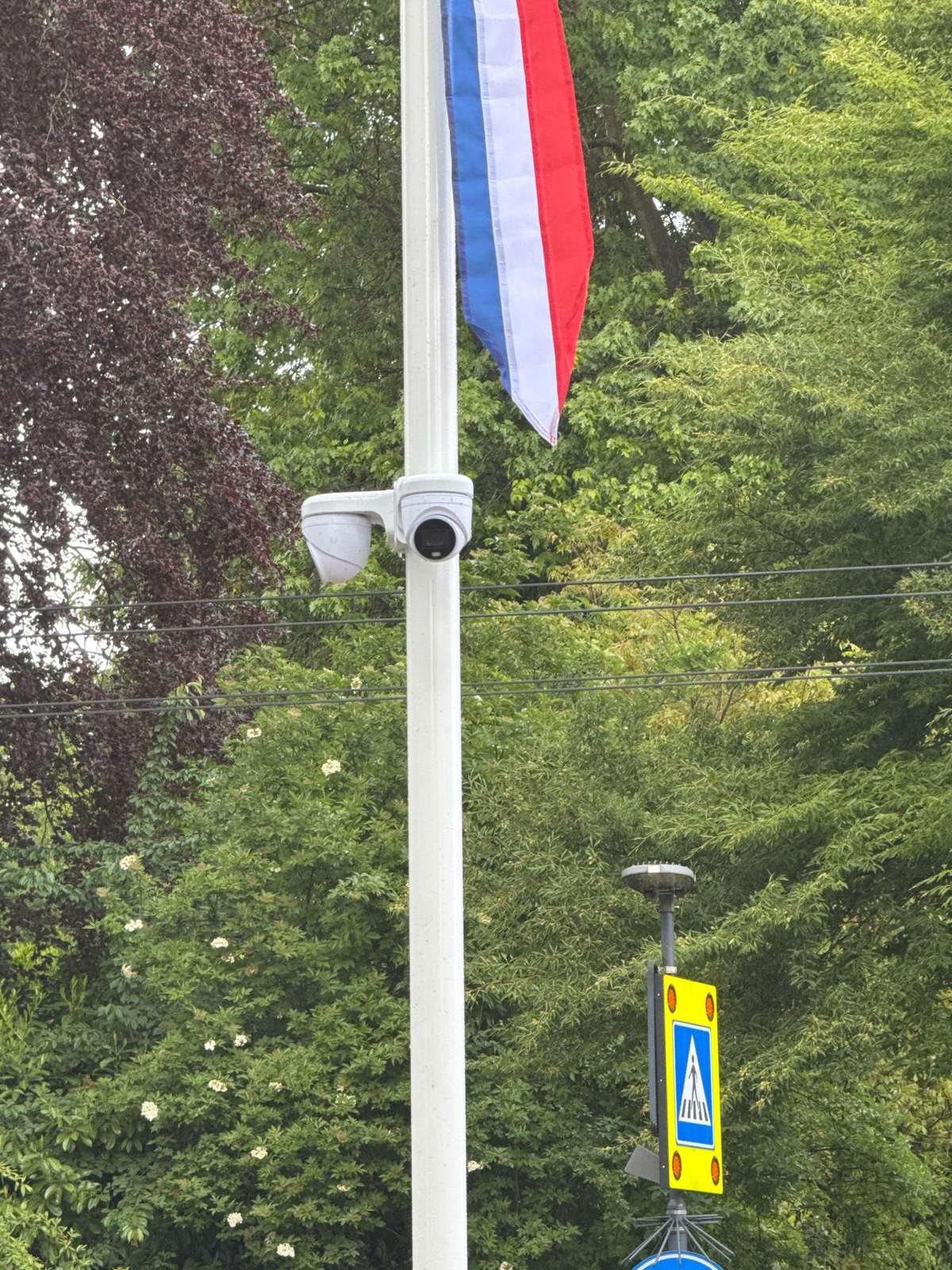 Witte camera aan een witte mast, volledig omringd door dicht groen gebladerte