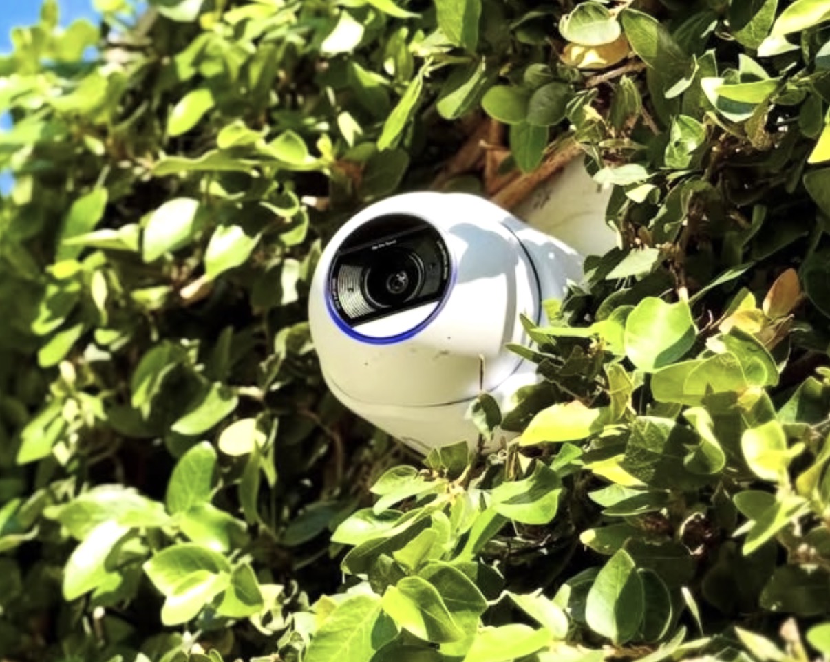 Witte camera die vanuit een groene haag over het perceel kijkt