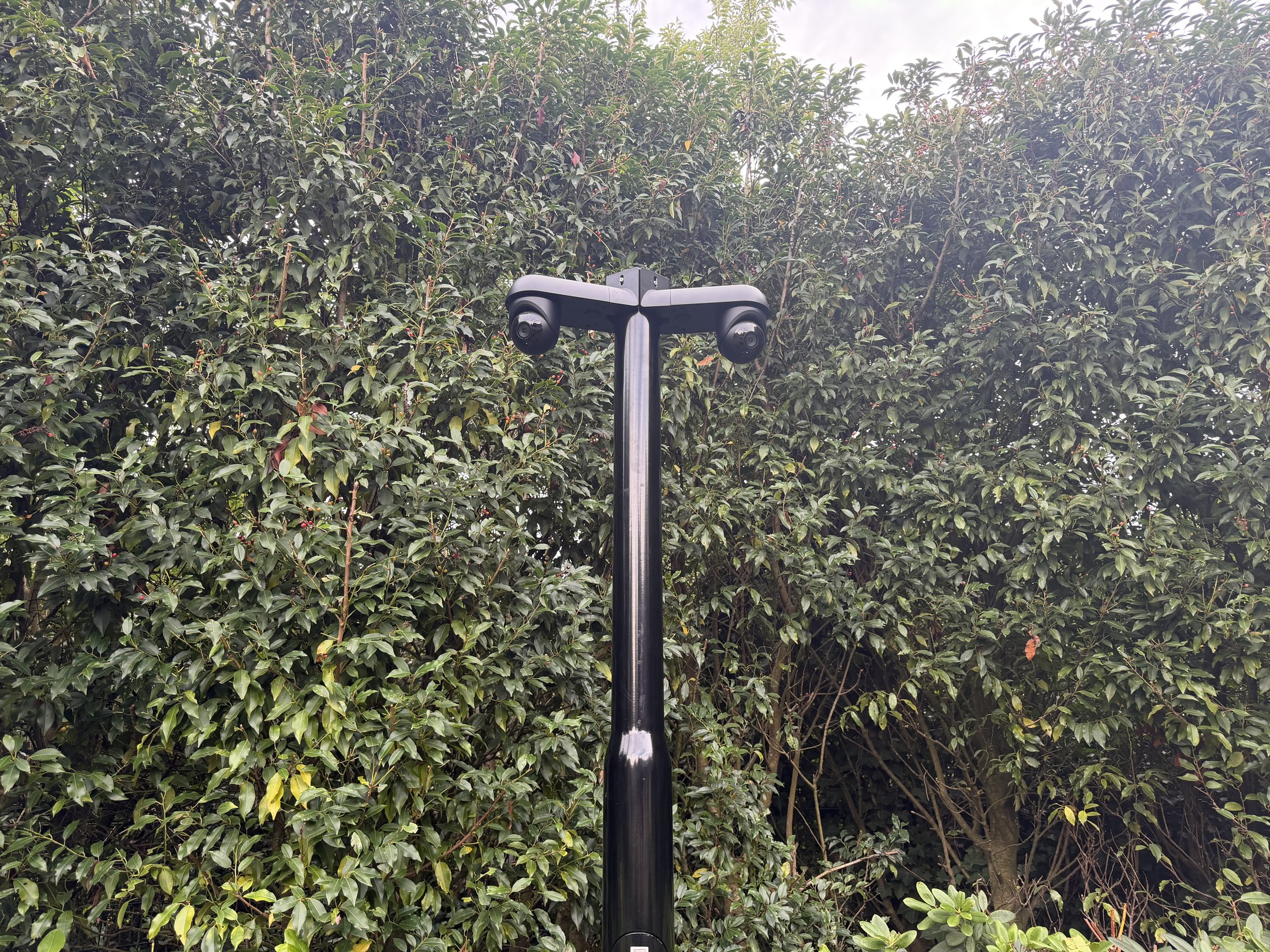 Zwarte camerapaal met twee camera's voor een hoge haag in een tuin in Blaricum