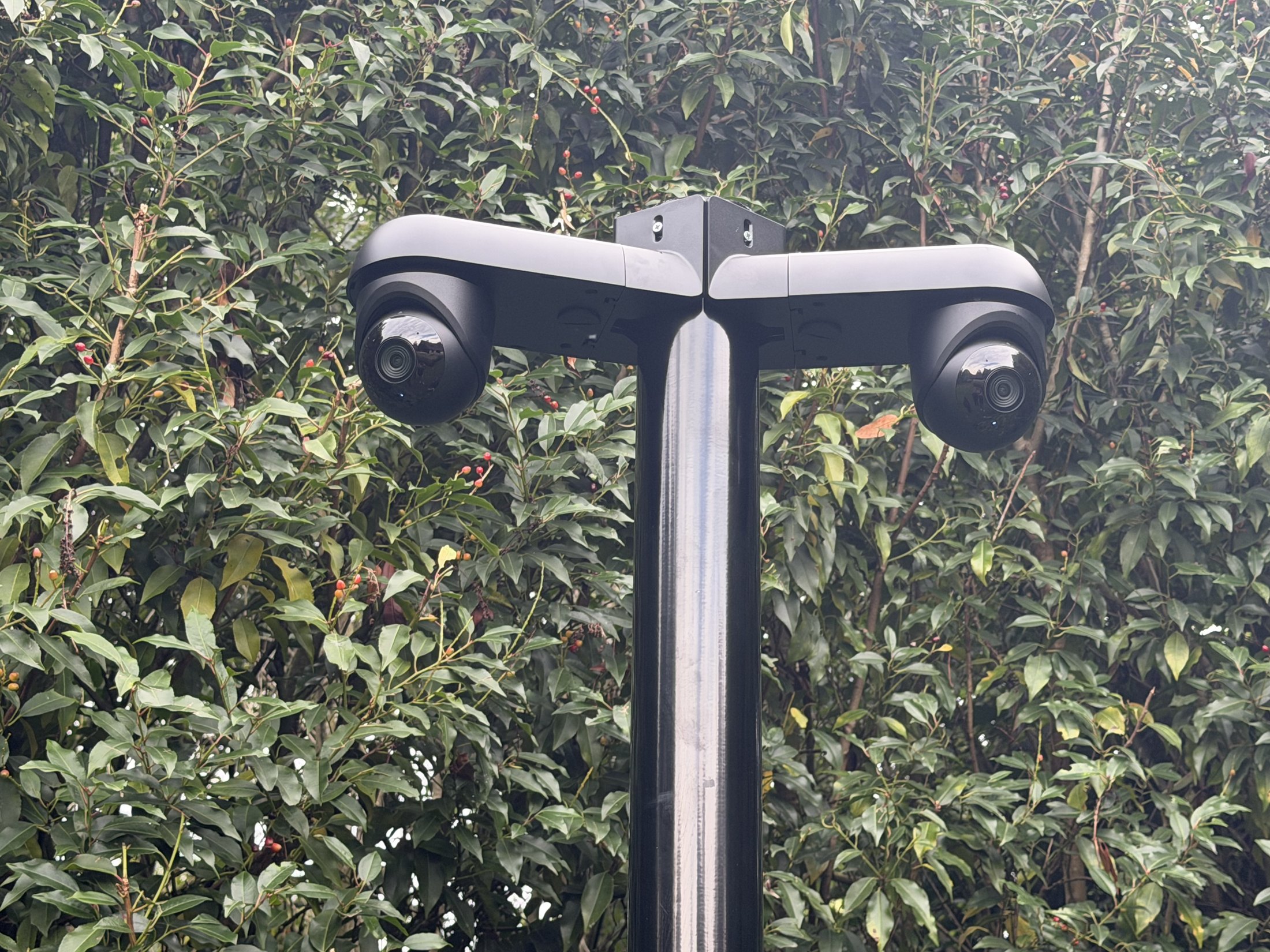 Kop van een camerapaal met twee draaibare camera's rug aan rug, voor een hoge haag