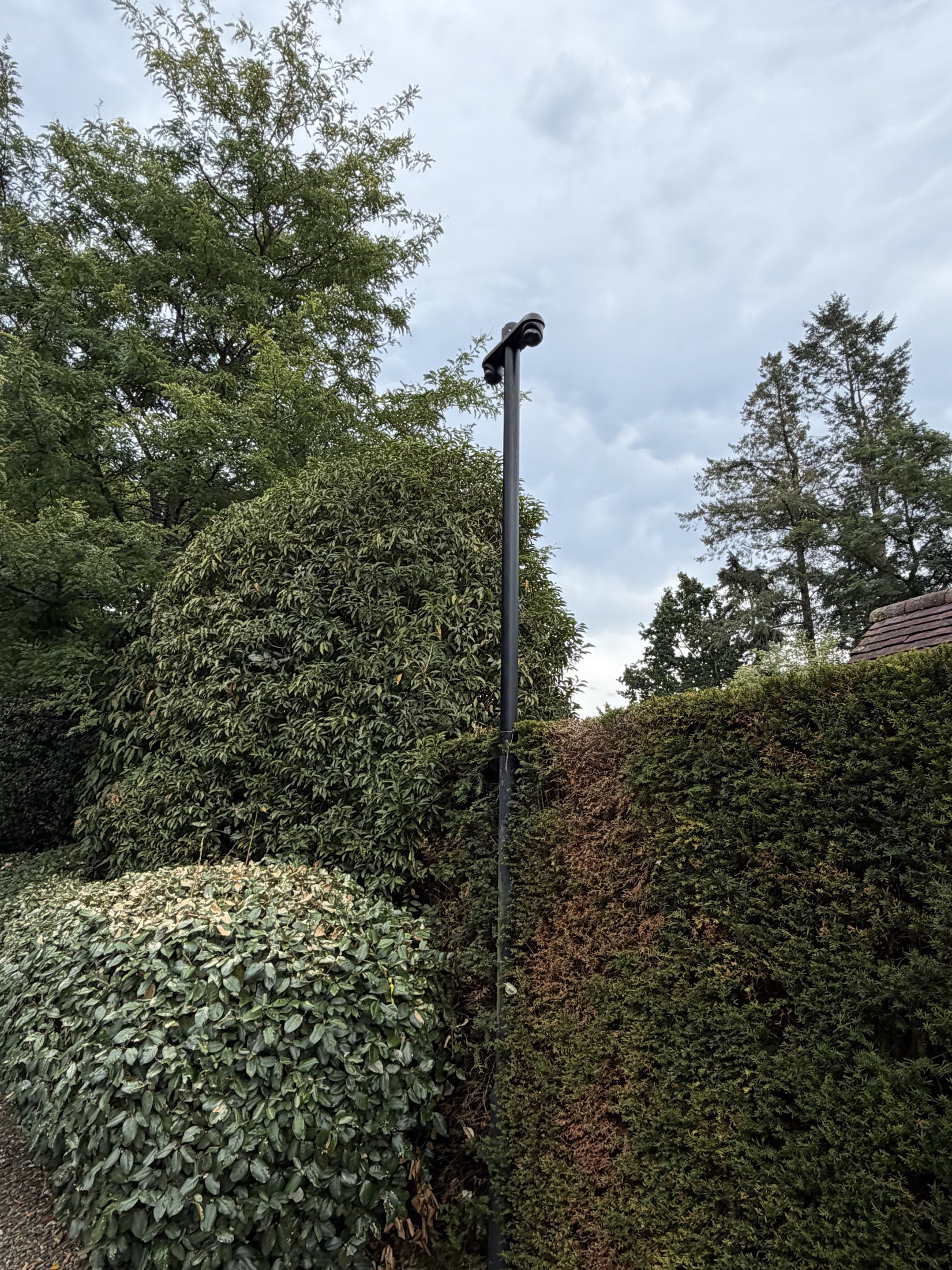 Zwarte camerapaal die uitsteekt boven hoge coniferen en beplanting