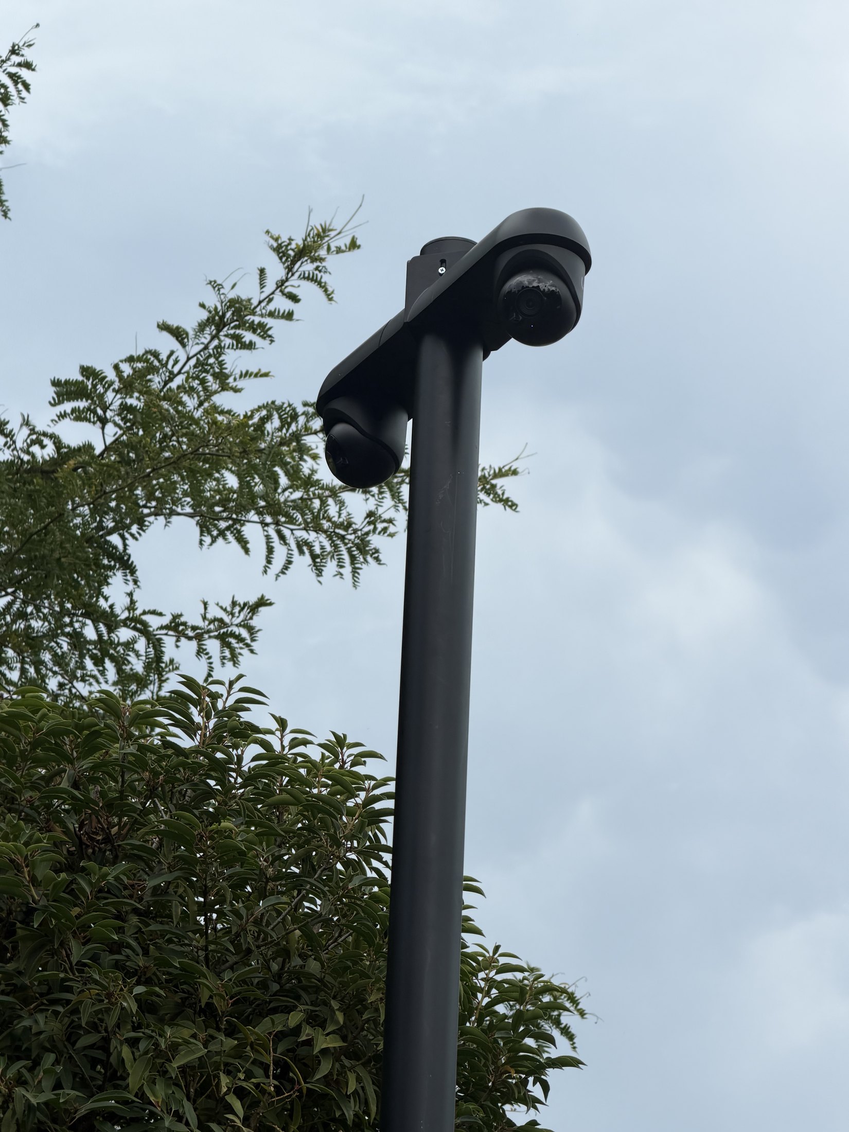 Camera's op een paal die boven de beplanting uitsteekt