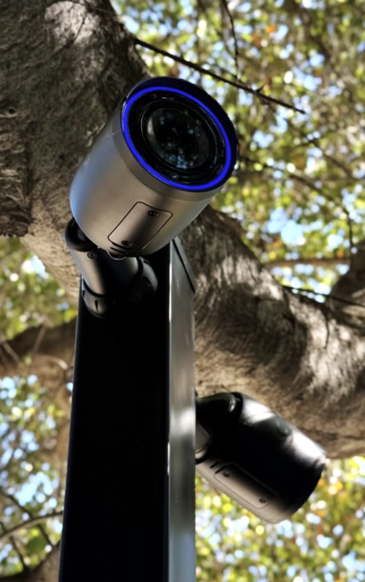 Draaibare camera op een donkere paal tussen bomen, met een tweede camera aan dezelfde paal