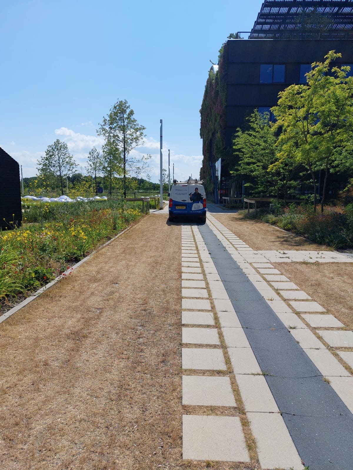 Pad over een groen terrein met jonge bomen en een fietser in de verte