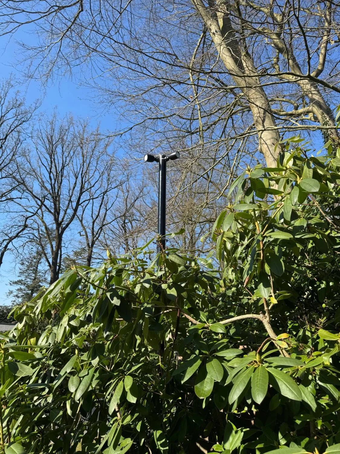 Slanke zwarte paal met twee camera's bovenop, boven de rododendrons tegen een blauwe lucht
